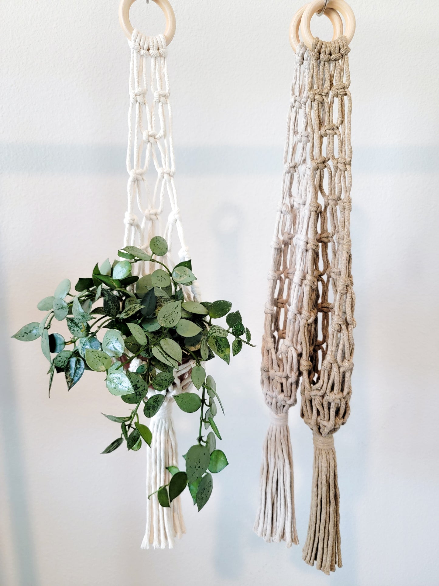 Regular Net Plant Hanger