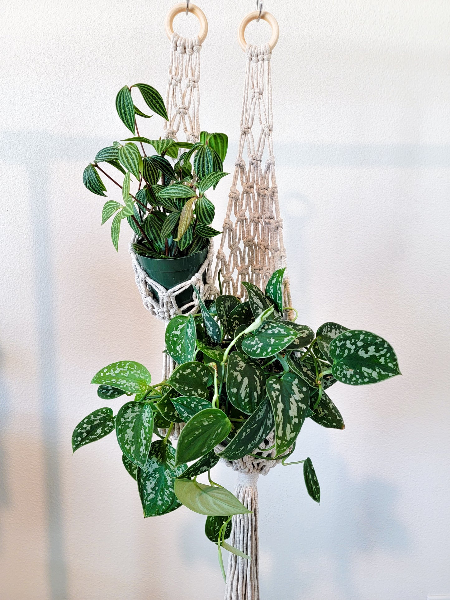 Large Net Plant Hanger