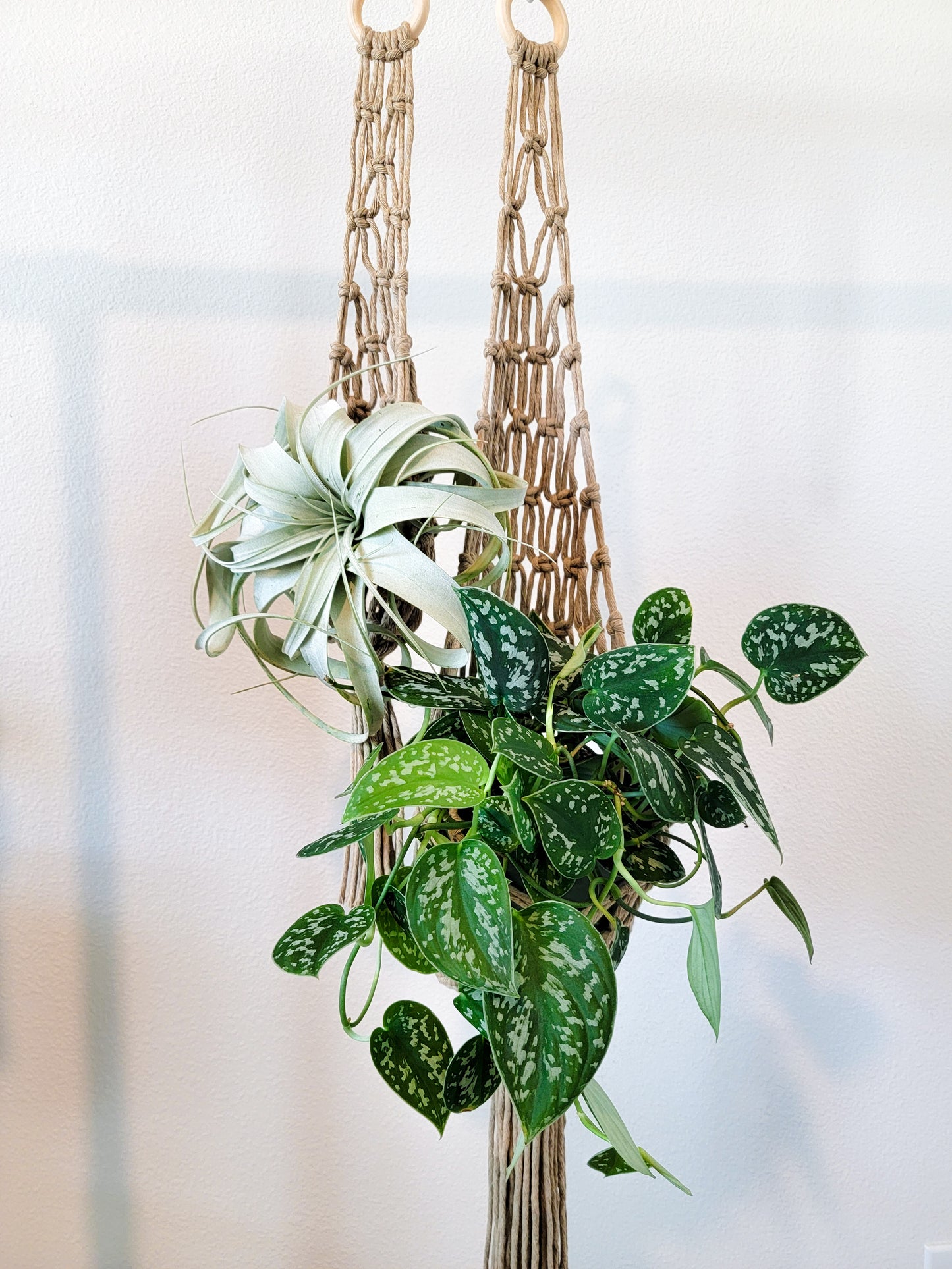 Large Net Plant Hanger