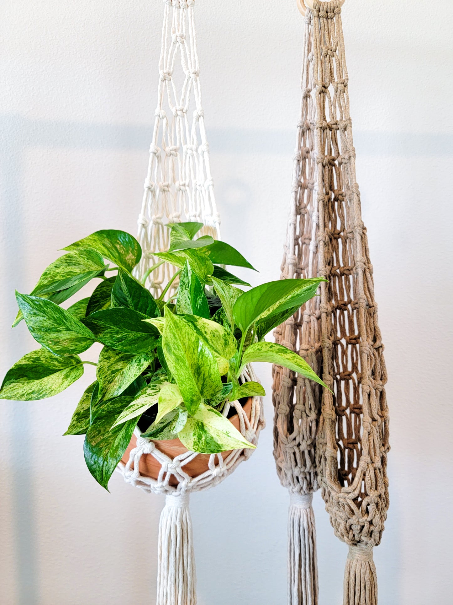 Large Net Plant Hanger