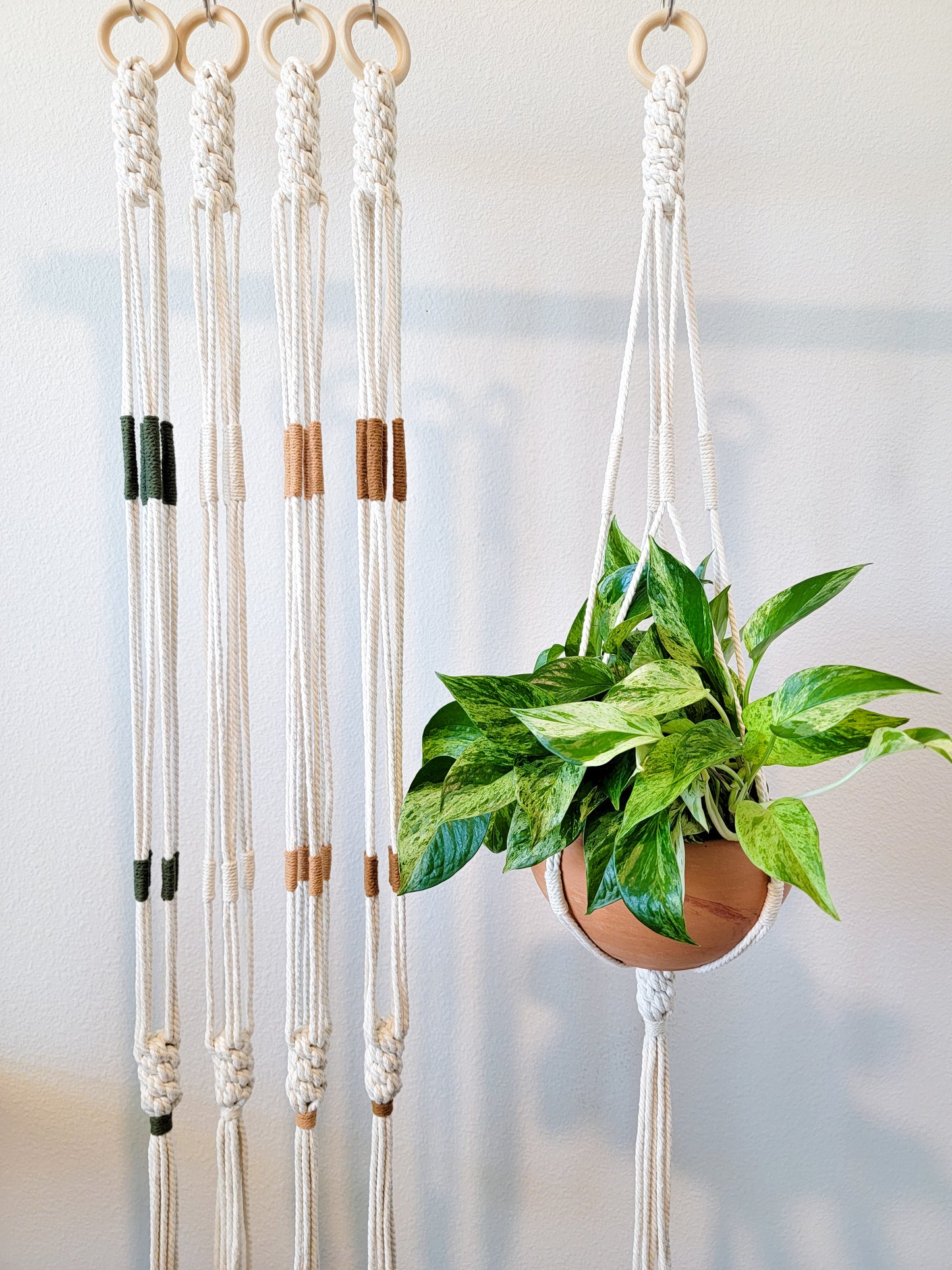 Minimalist Plant Hanger