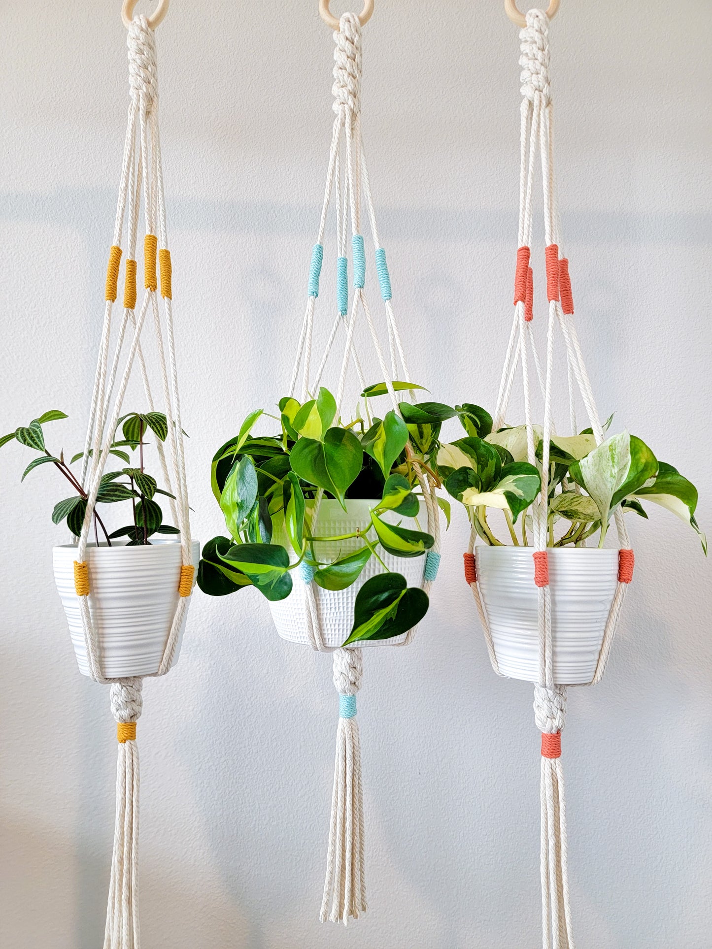 Minimalist Plant Hanger