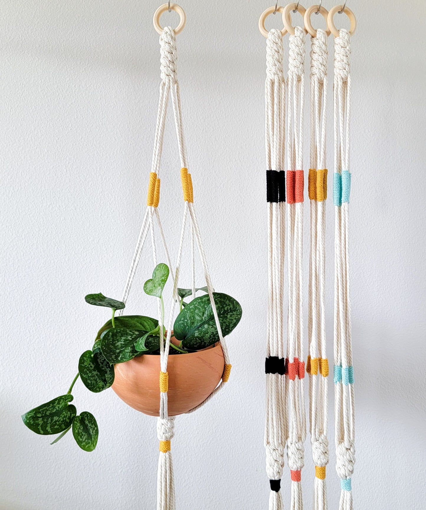 Minimalist Plant Hanger